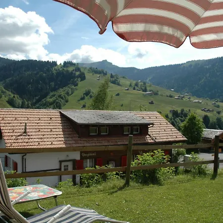 Luxurious Chalet In With Private Garden